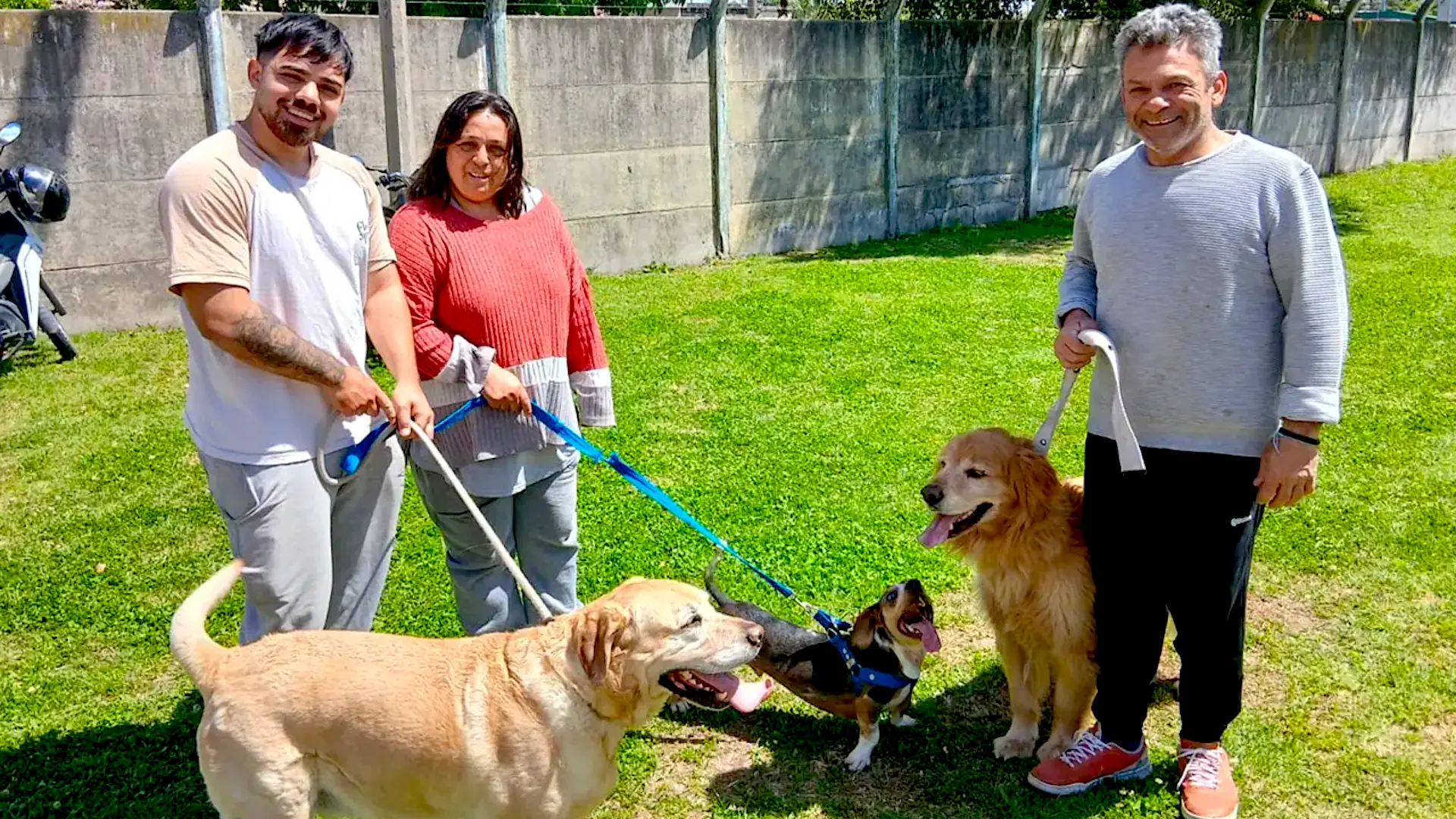 Con 230 animales vacunados en una sola jornada, finalizó la campaña anual de vacunación antirrábica